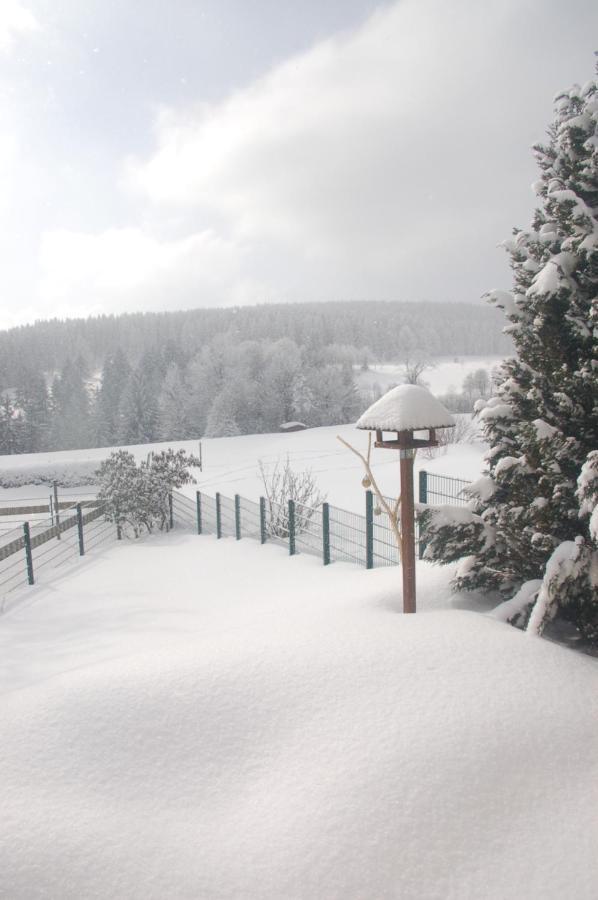 Ferienhaus Waldblick Siegmundsburg Esterno foto